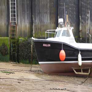 Boat docked on beach