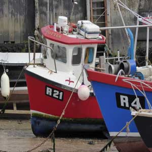 Boats docked on beach