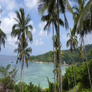 Chalok Baan Kaok Bay, Koh Tao