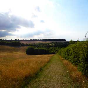 Countryside view