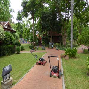 Mowing day in Saranrom Park