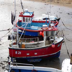 Top view of boats docked on beach